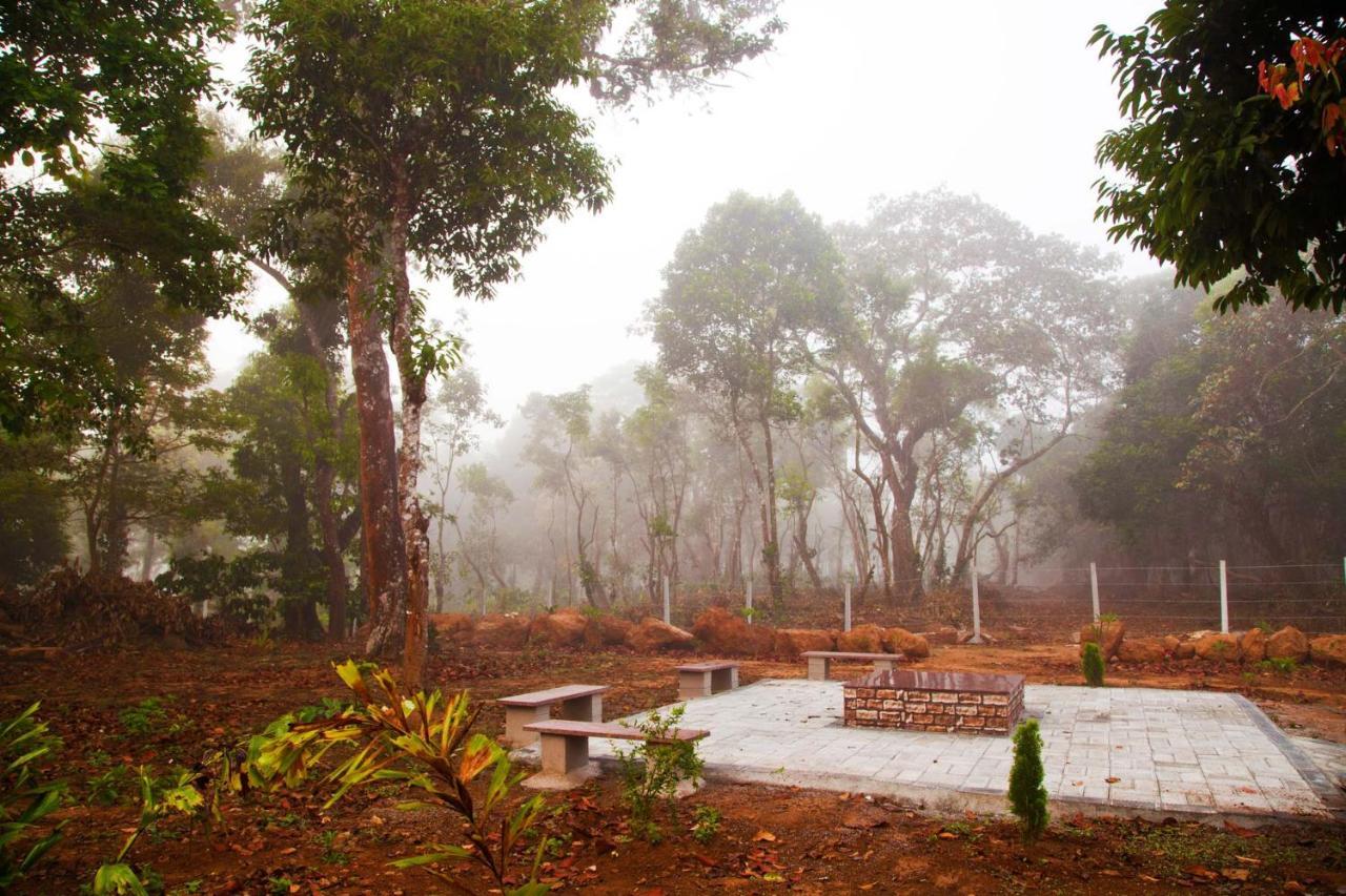 Coffee & Mist Luxury Villa- Comp Breakfast, Pool, Lounge, And Coffee Estate By Stayvista Madikeri Exteriör bild